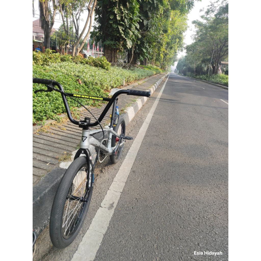 Frame Thrill Havoc Type Disc