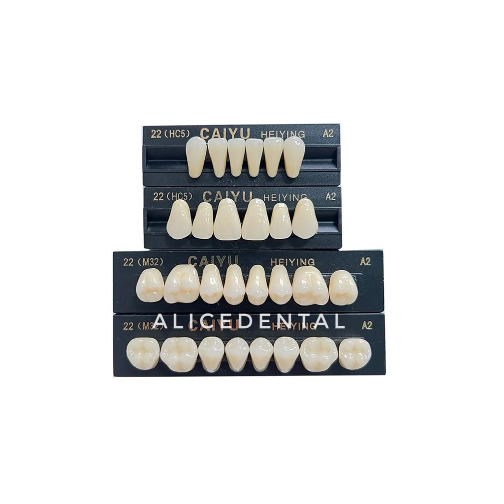Anasir gigi Gigi palsu resin akrilik acrylic CAIYU full set gigi tiruan gigi lepasan denture lab ALI