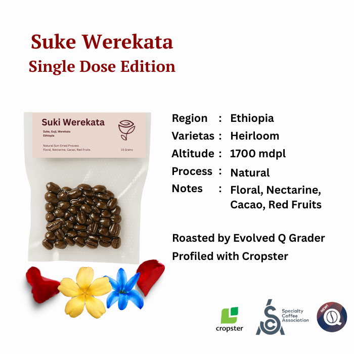 Single dose Ethiopia Guji Uraga Suke Werekata - Arabica Specialty Coffee Natural - Rosest Rosetery 1