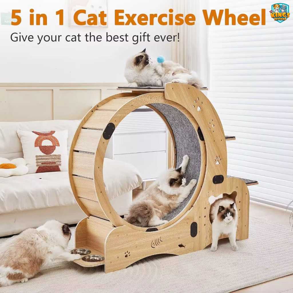 CAT RUNNING WHEEL W/TOY - Cat Running Wheel with Toy