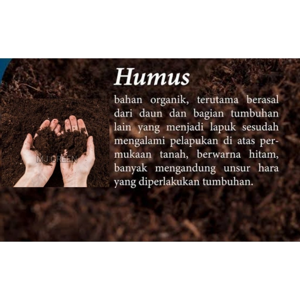 Tanah Humus 1kg