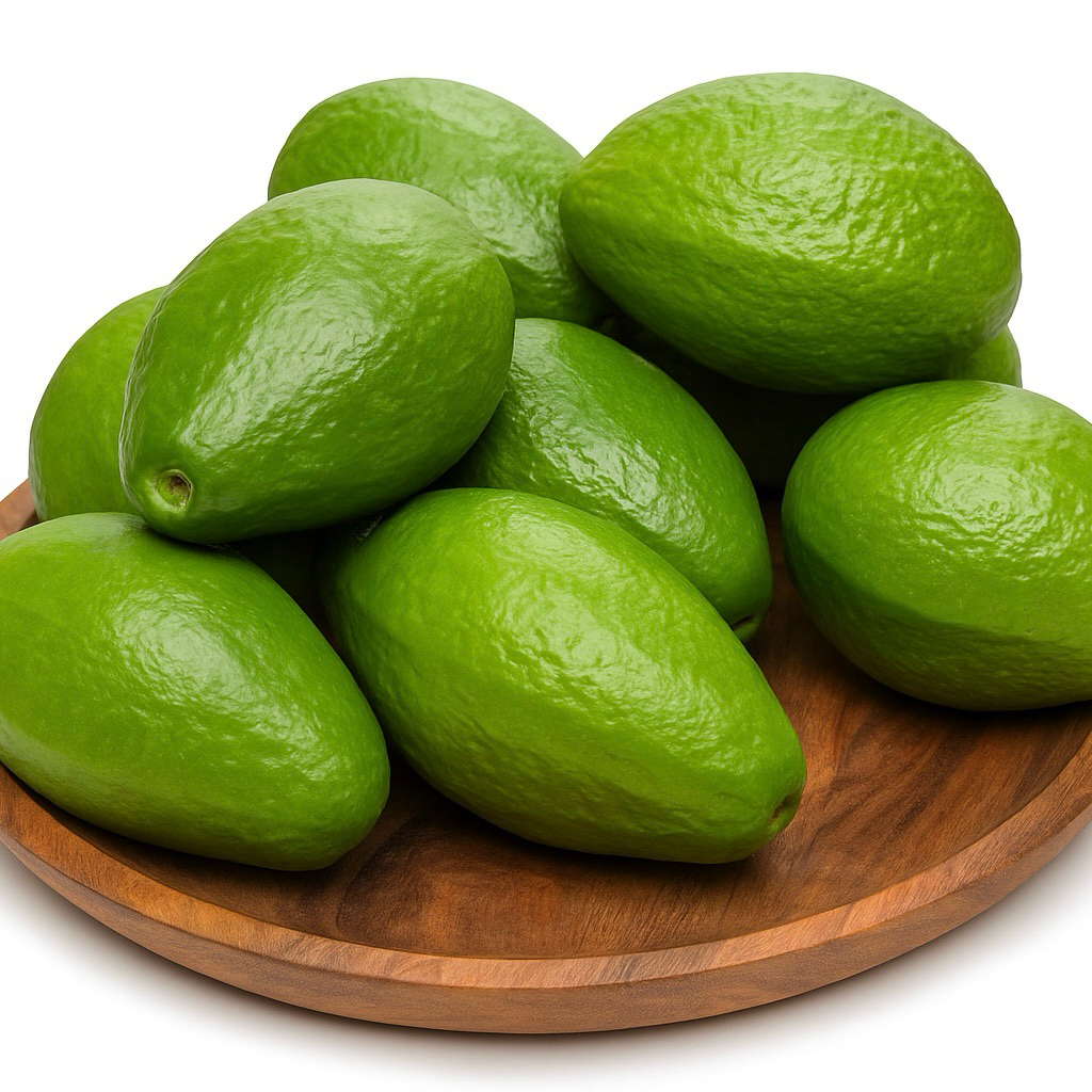 Buah Alpukat Replika (1pcs) / Alpukat palsu / Dummy buah / Replika buah buahan / buah imitasi / etal