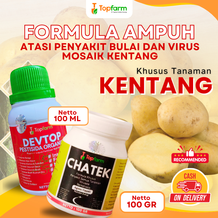 Pestisida Hama Kentang / Obat Hama Kentang / Obat Hama Kentang Daun Keriting / Pestisida Pembasmi Ha