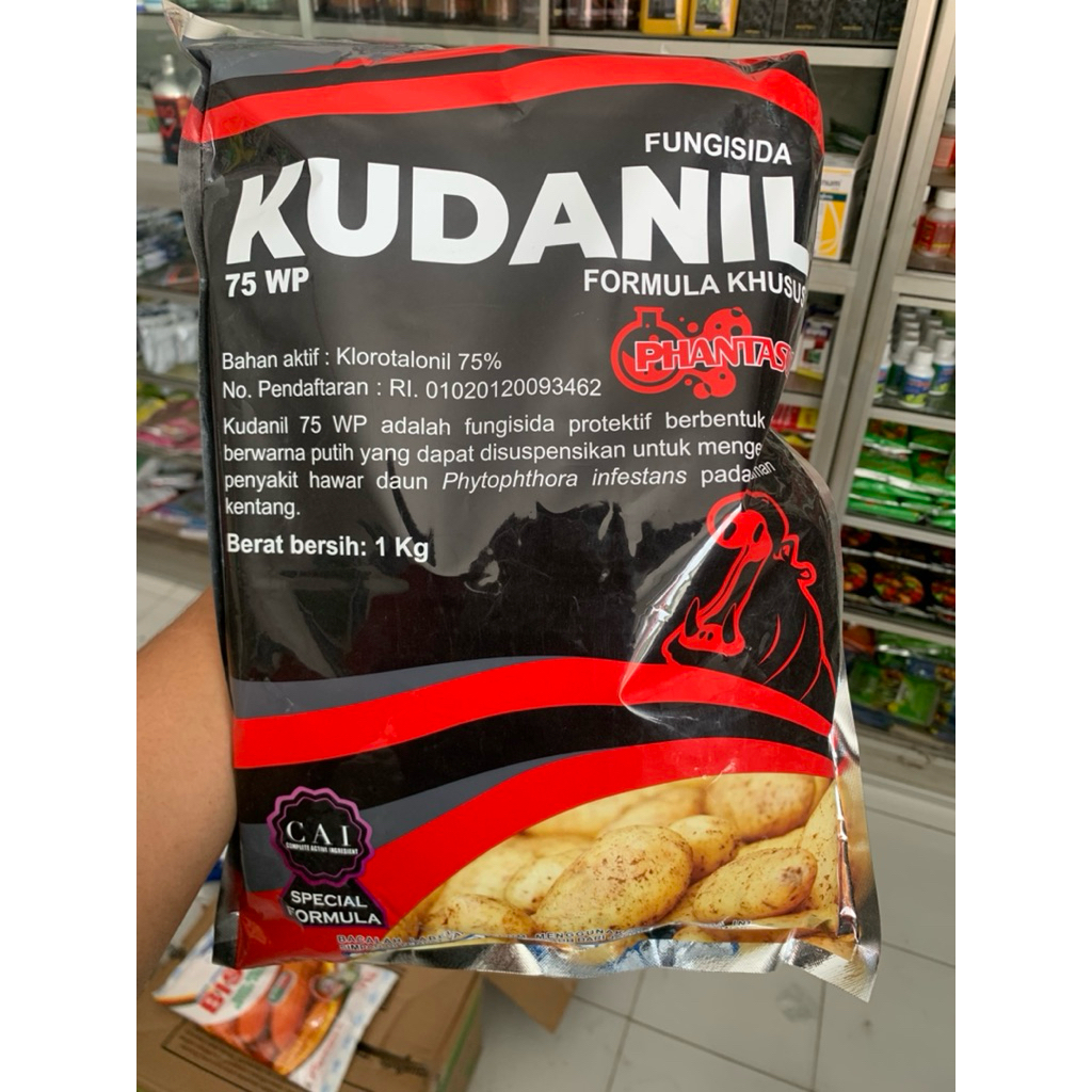 FUNGISIDA KUDANIL PHANTASOS 75WP bahan aktif klorotalonil 75%