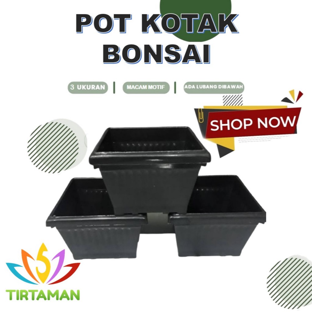 Pot Bonsai Kotak Persegi Plastik Segi Empat 20 25 30