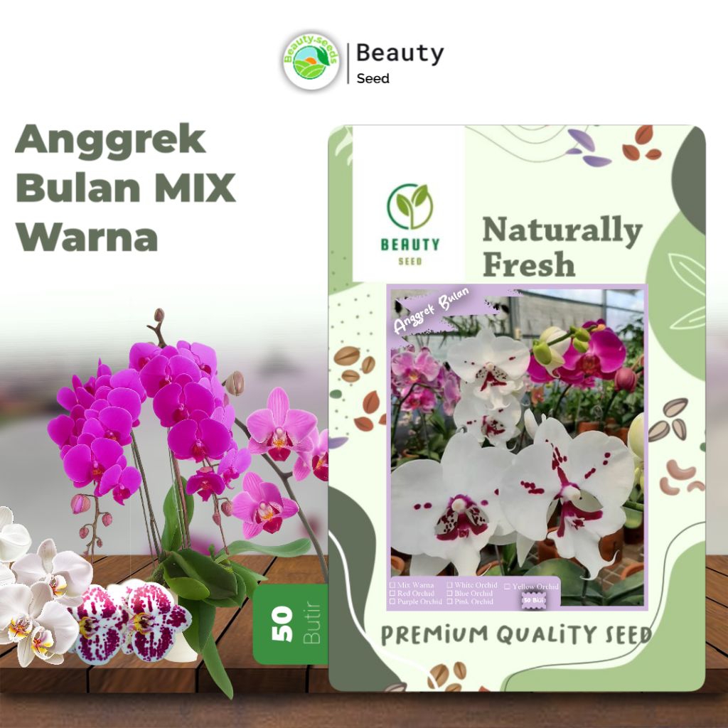 50 Biji Benih Anggrek Bulan - Biji Anggrek Bulan Mix Collor