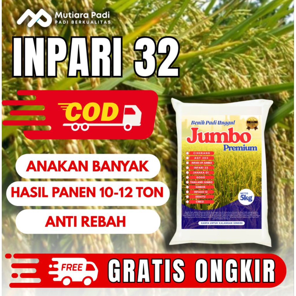 BIBIT PADI  BENIH PADI  UNGGUL BERKUALITAS INPARI 32 JUMBO KEMASAN 1KG