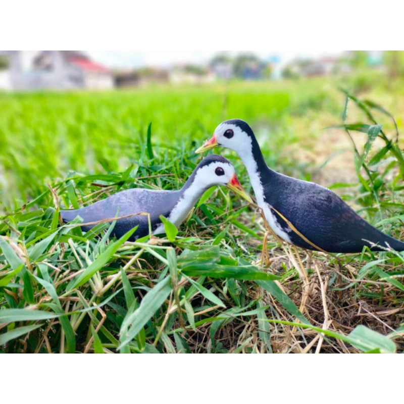 Patung Jontrot Ruak Ruak / Kareo Padi Mirip Asli - Patung Ruak Ruak - Jontrot Kareo