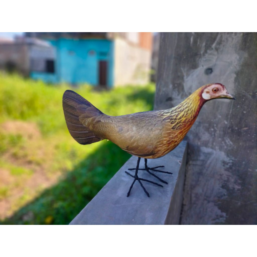 PATUNG JONTROT AYAM HUTAN BETINA - JONTROT AYAM HUTAN BETINA MIRIP ASLI