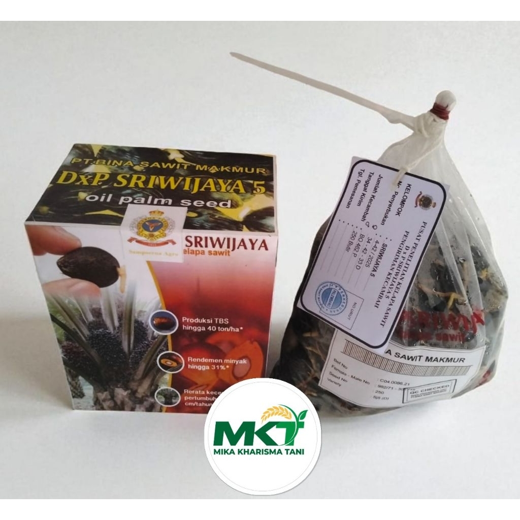 BENIH SAWIT UNGGUL SRIWIJAYA 5 250seed(biji) sudah berkecambah