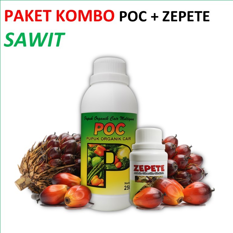 Paket POC dan ZPT Sawit | Pupuk Sawit Berbuah Lebat Cepat Besar Agar Hasil Panen Maksimal / sawit