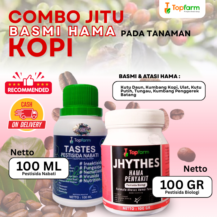Insektisida Buah Kopi / Obat Hama Tanaman Kopi / Obat Pembasmi Hama Tanaman Kopi / Obat Hama Semut P