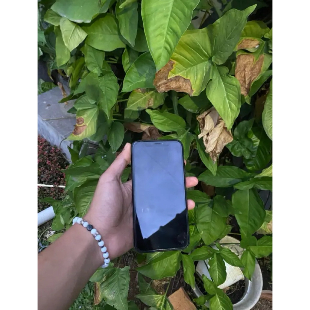 IPhone XR 64GB Inter