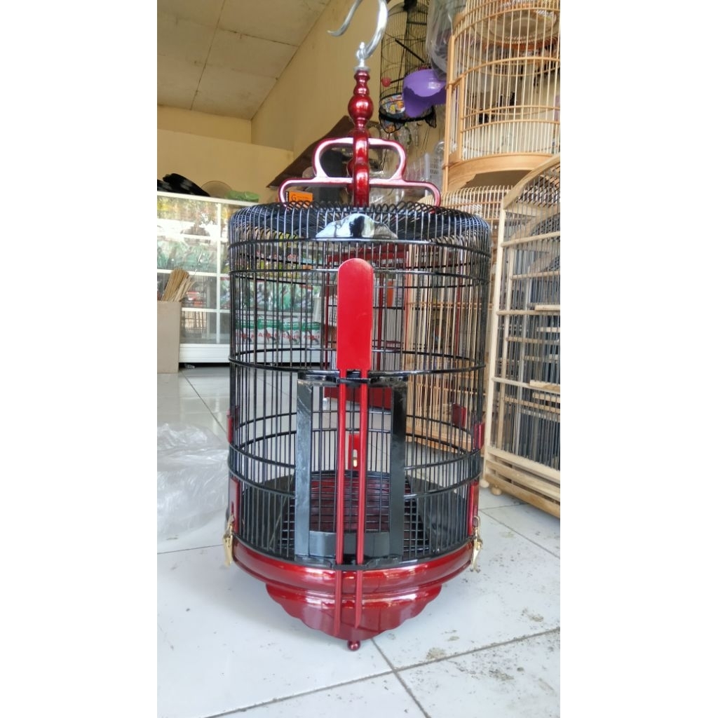 SANGKAR ANIS MERAH ANIS KEMBANG