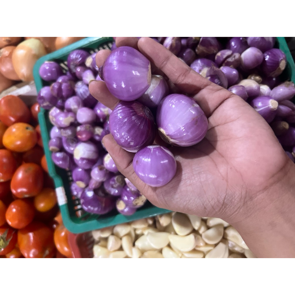 Bawang bantaeng kupas/Bawang kupas /Bawang merah kupas