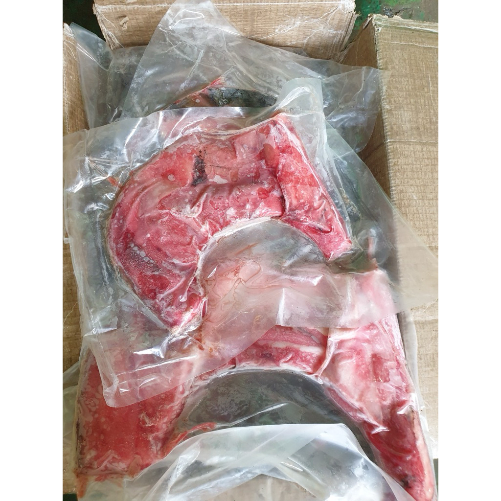 Rahang Tuna CO