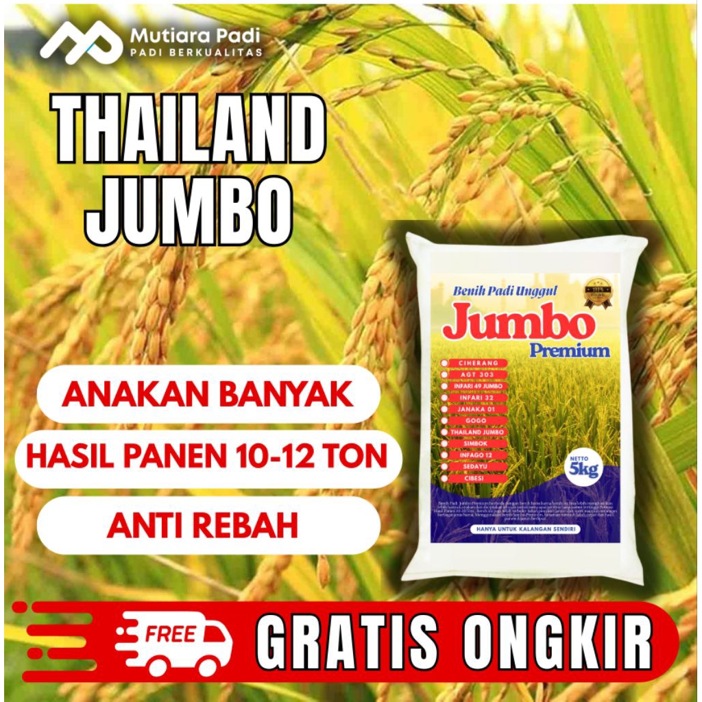 benih padi bibit padi THAILAND JUMBO kualitas premium kemasan 5 KG