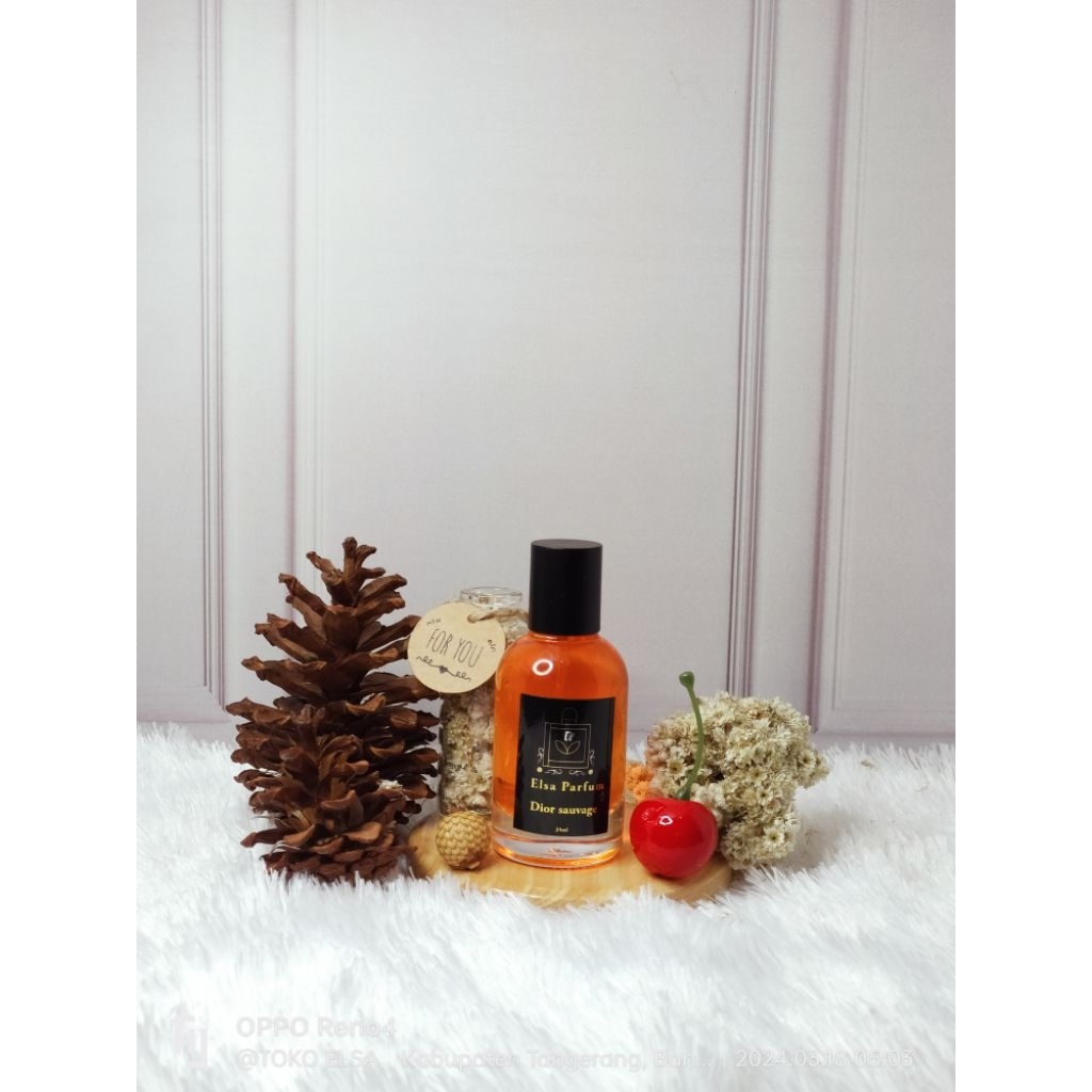 Parfum Isi Ulang 35ml Botol Le Labo – Dior Sauvage Non Alkohol