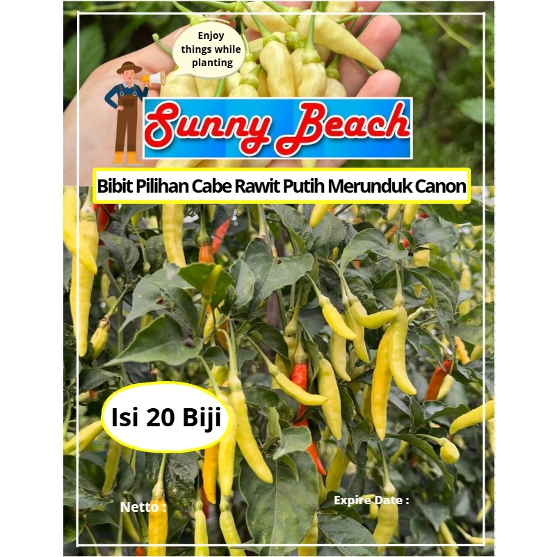 Bibit Pilihan Cabai Rawit Putih Merunduk Canon | Biji Benih Cabai Rawit Putih | Rawit
