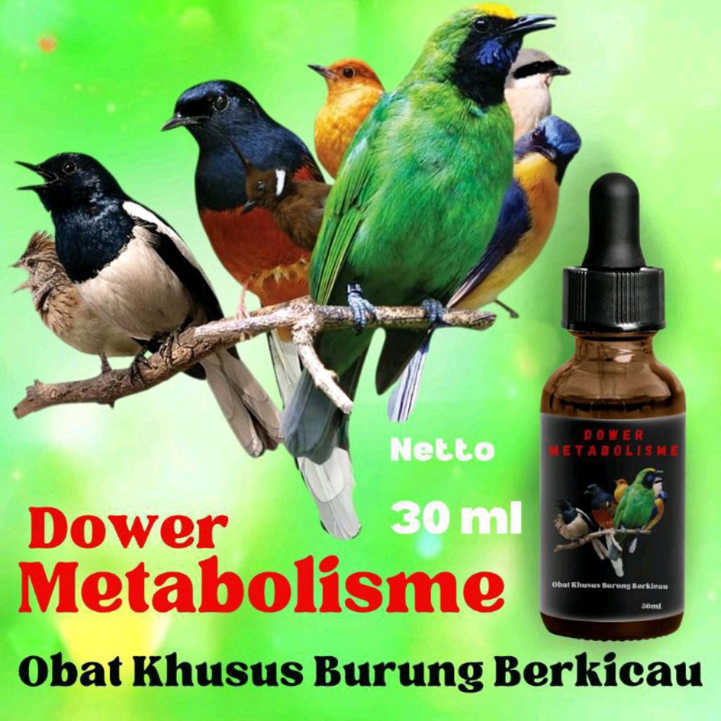 DOWER ONPLAY RG ON PLAY RAJA GOYANG VITAMIN BURUNG KACER