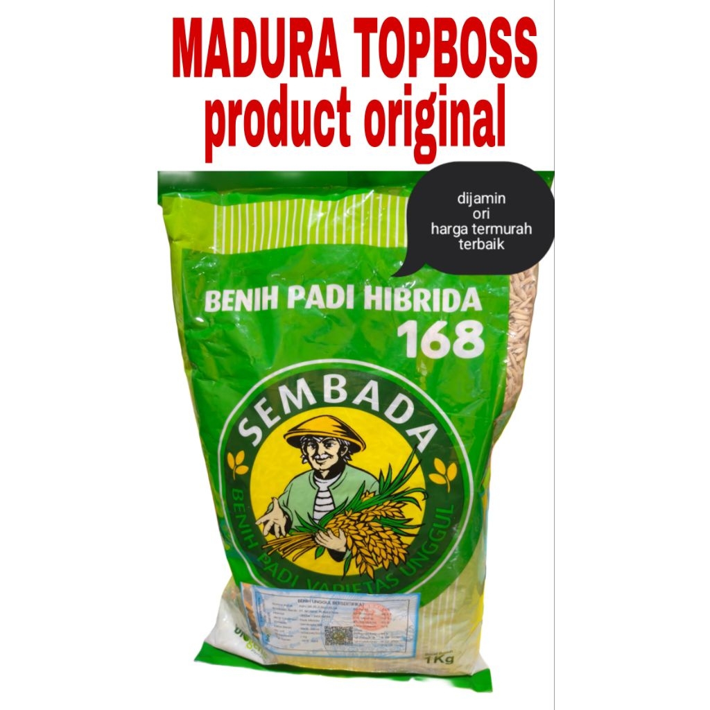 BIBIT PADI SEMBADA168 EXP082026 original