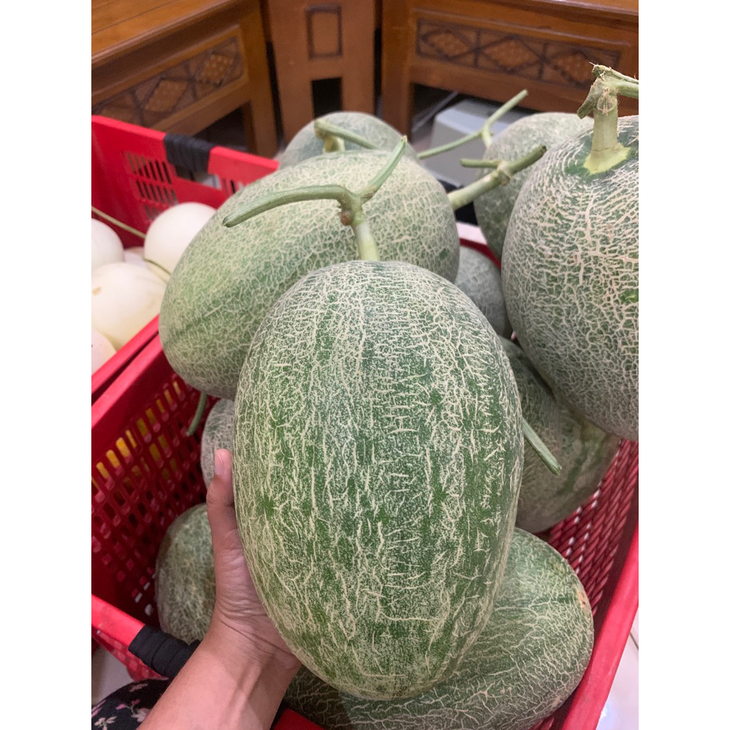 Buah Melon Premium The Blues Grade B