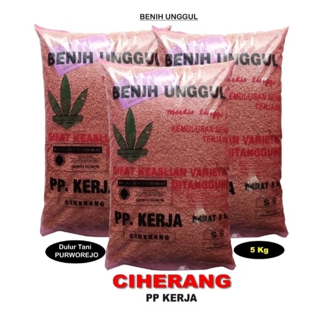 Benih Padi Ciherang PP Kerja 5 Kg