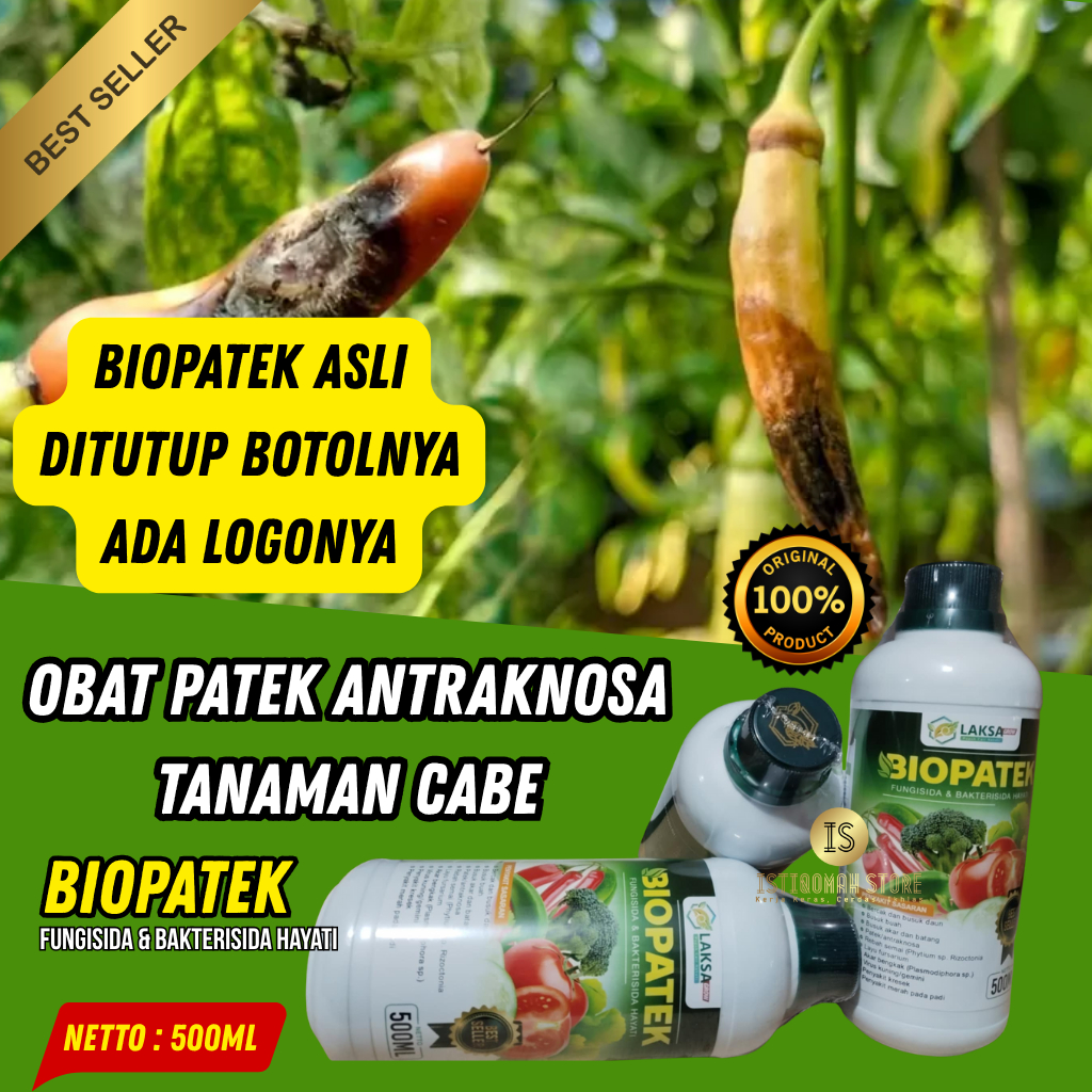 OBAT PATEK CABE PALING AMPUH BIOPATEK 500ML Fungisida Hayati Obat Hama Patek Pada Cabe Cabai Rawit C