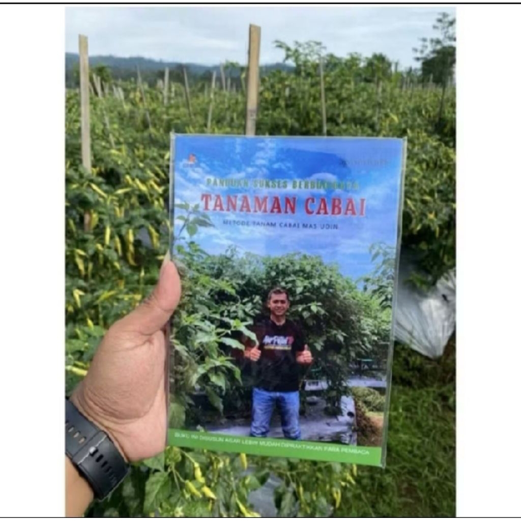 Panduan Sukses Berbudidaya Tanaman Cabai Metode Tanam Cabai Mas udin
