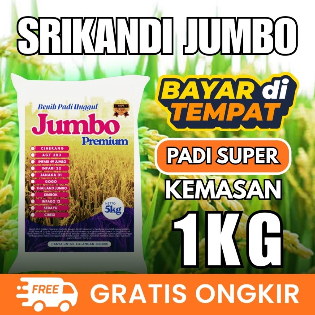 [ AGEN BENIH PADI ] Benih Padi Srikandi Jumbo 1kg