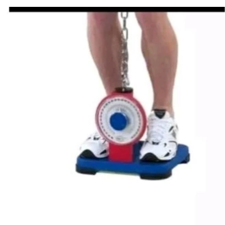 back and leg dynamometer /alat skill test korea****