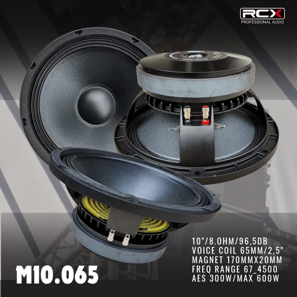 speaker 10 in spesial midle