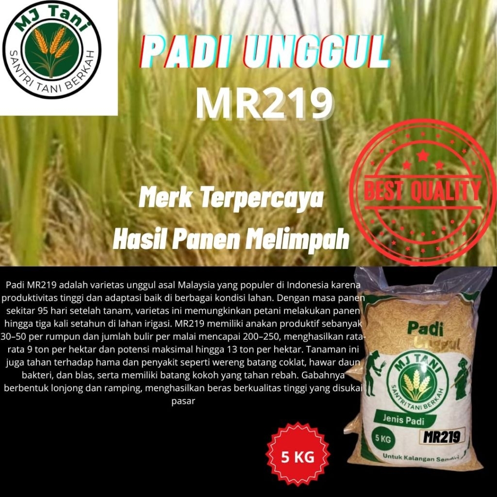 bibit padi MR219 5kg