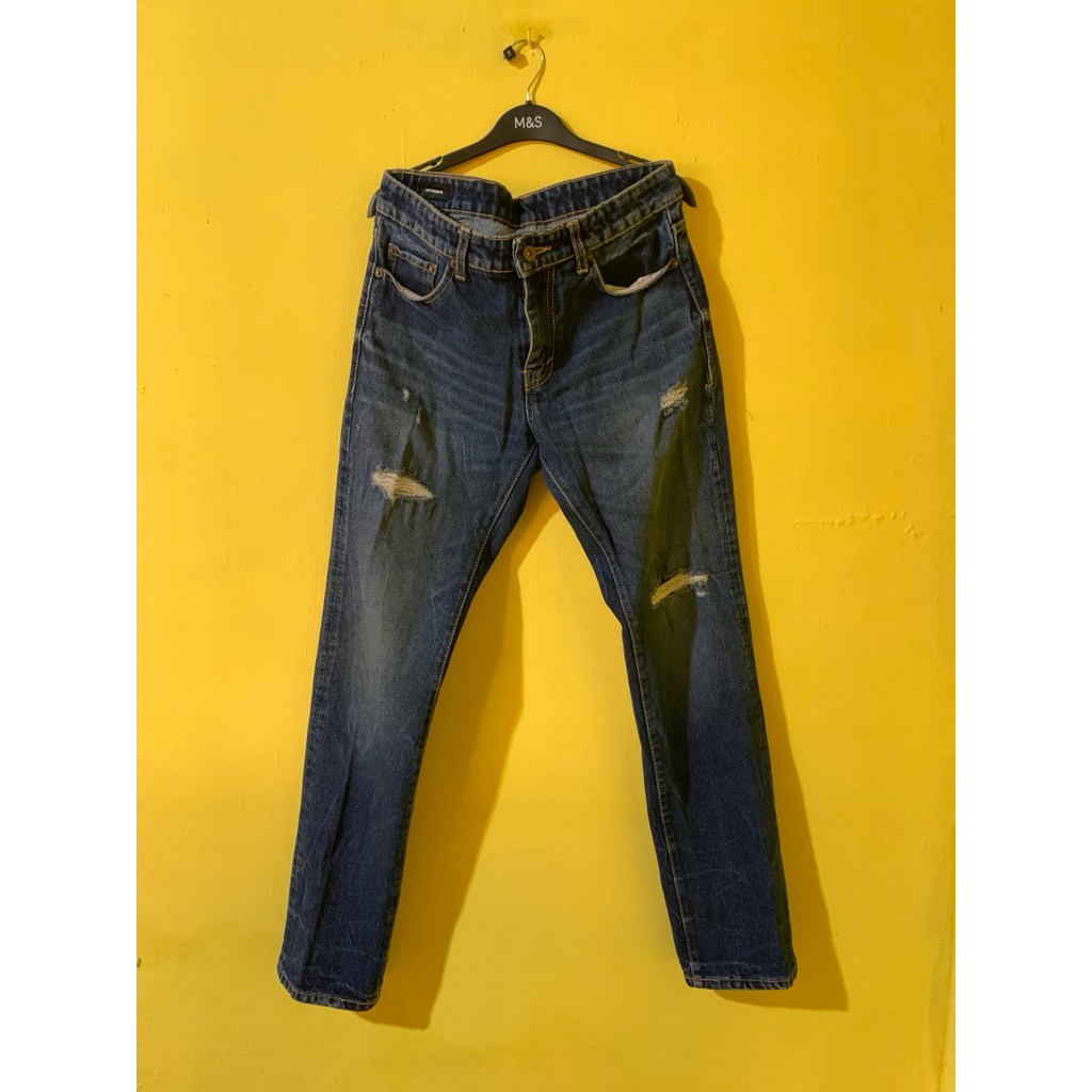 Arteesan Blue Phanter