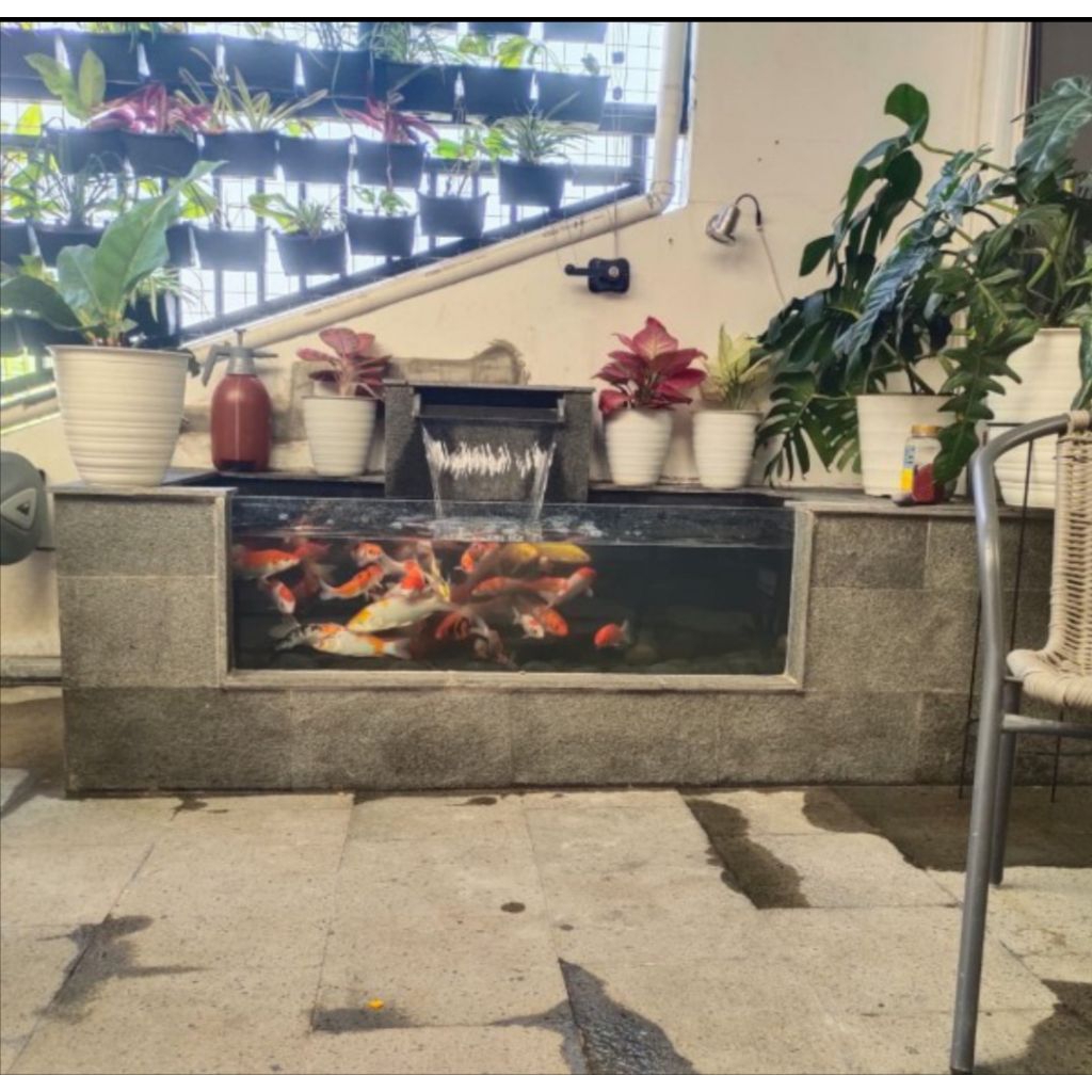 jasa kolam ikan koi minimalis batu alam andesit