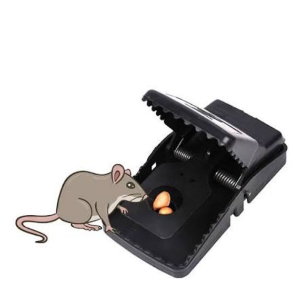 jebakan tikus perangkap jebakan tikus otomatis