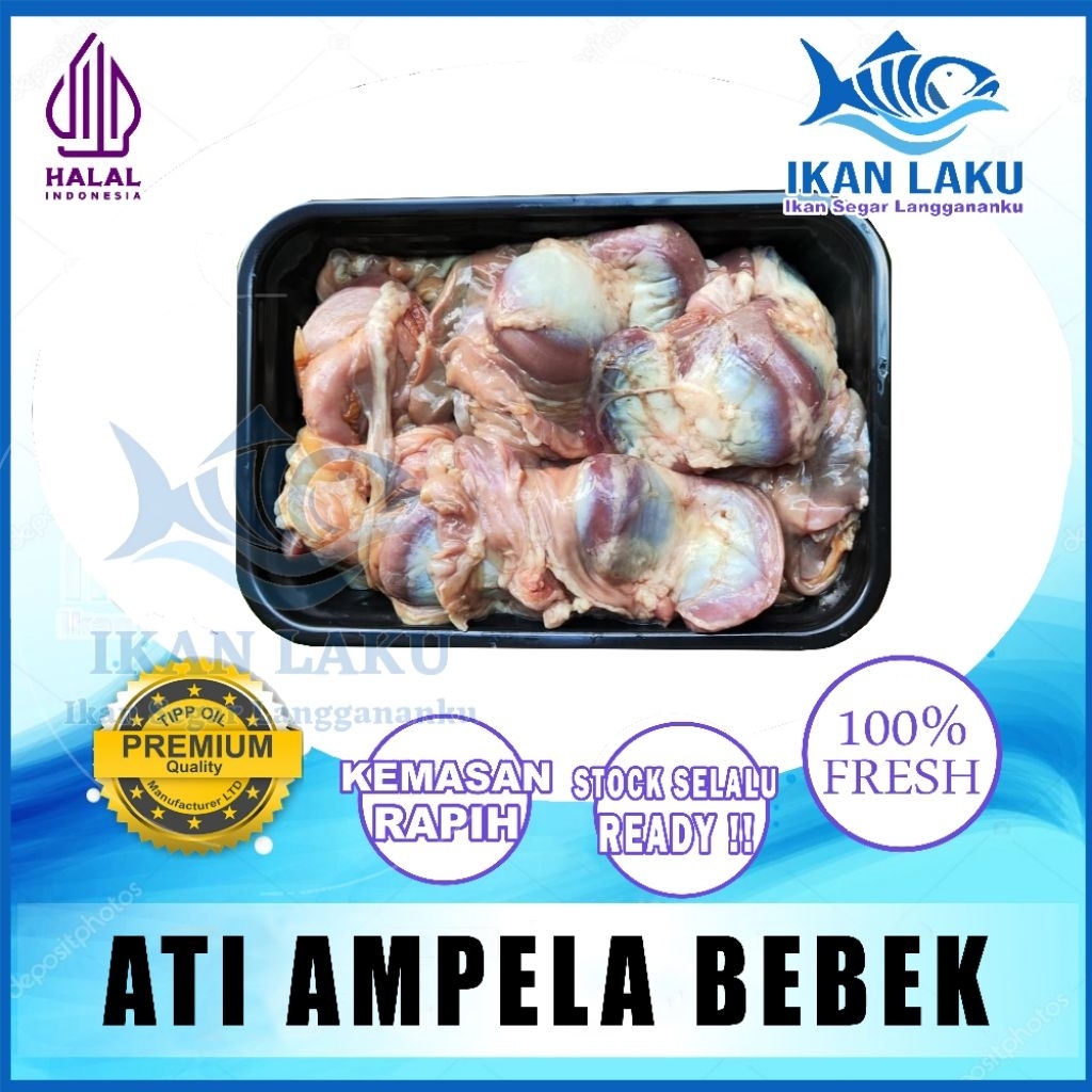 Ati Ampela Usus Bersih Bebek 1kg – Jeroan Bebek Ampela Bersih Premium Anti Bau Praktis Siap Masak