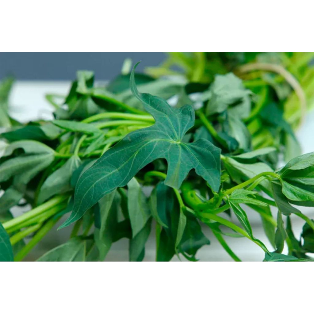 daun ketela rambat(ubi jalar) muda segar 200gram