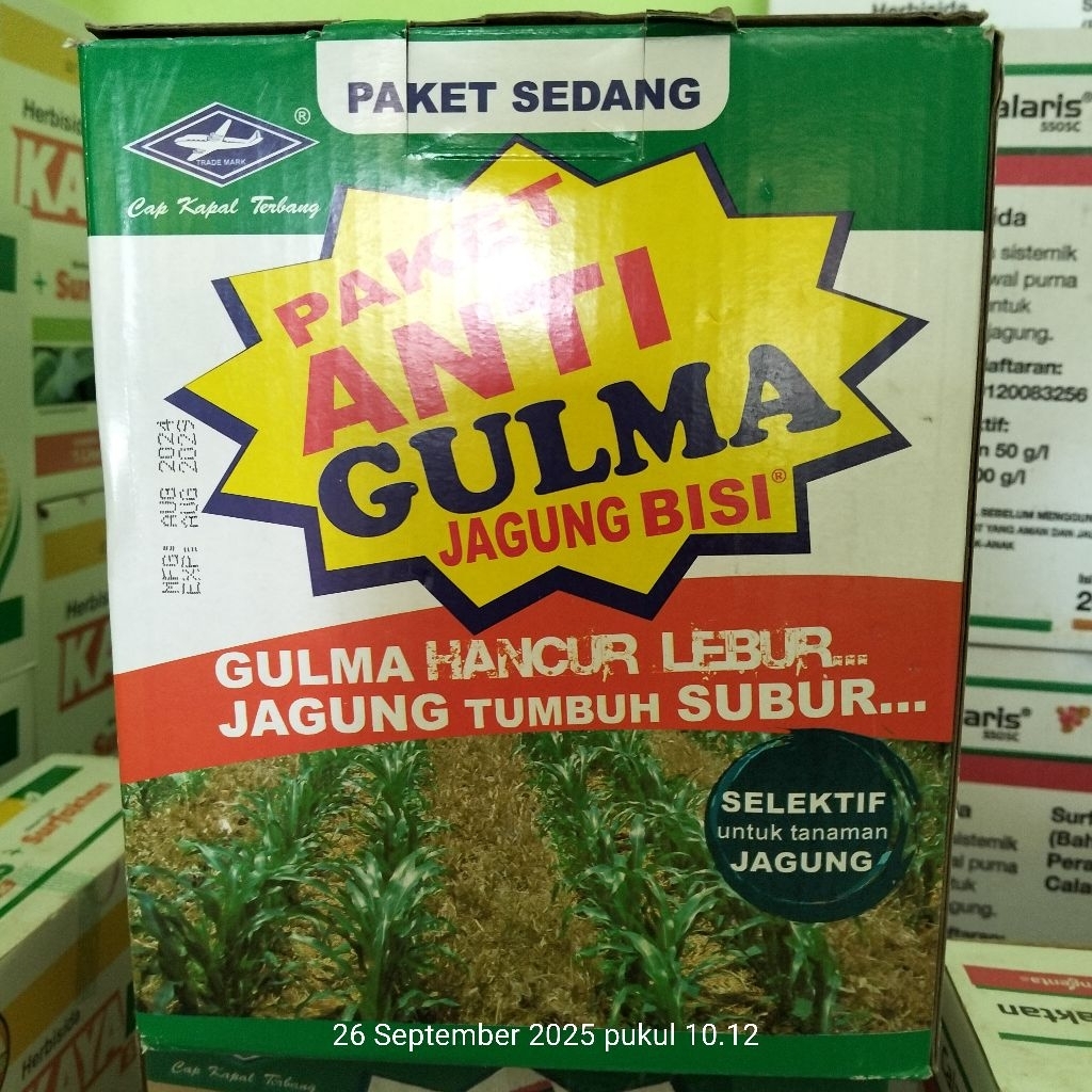 PAKET ANTI GULMA 500 ML