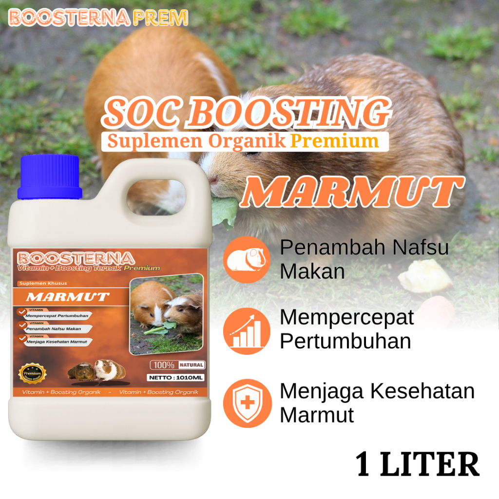 SOC BOOSTING ternak MARMUT Vitamin Probiotik Vitamin Suplemen Marmut Hias Anggora Fuzzy Lop Holland 