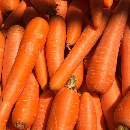 Wortel Sayur Segar 500gr | Sayuran ID Padang