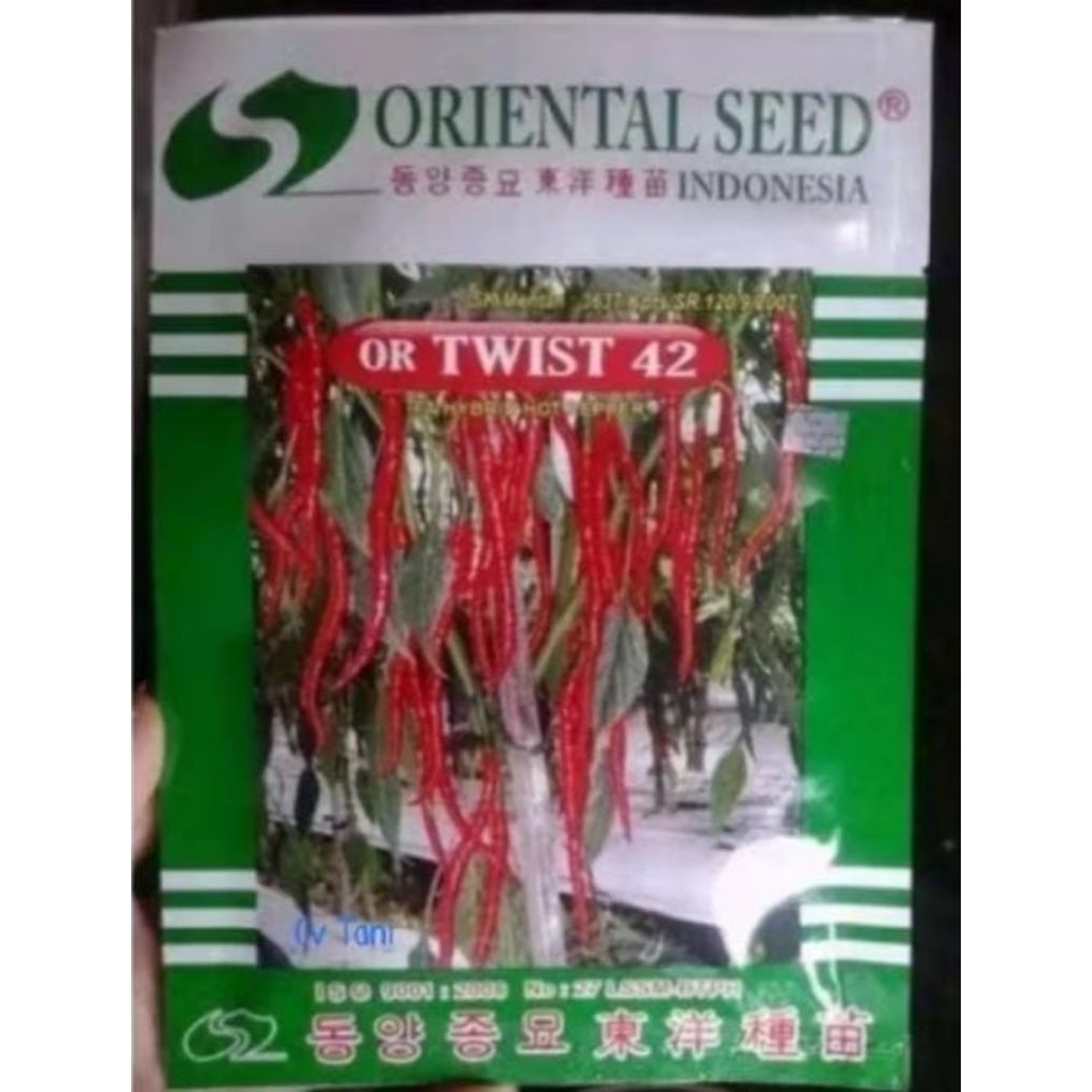 Benih Bibit Cabe Keriting OR TWIST 42 Isi 10 grm ORIGINAL