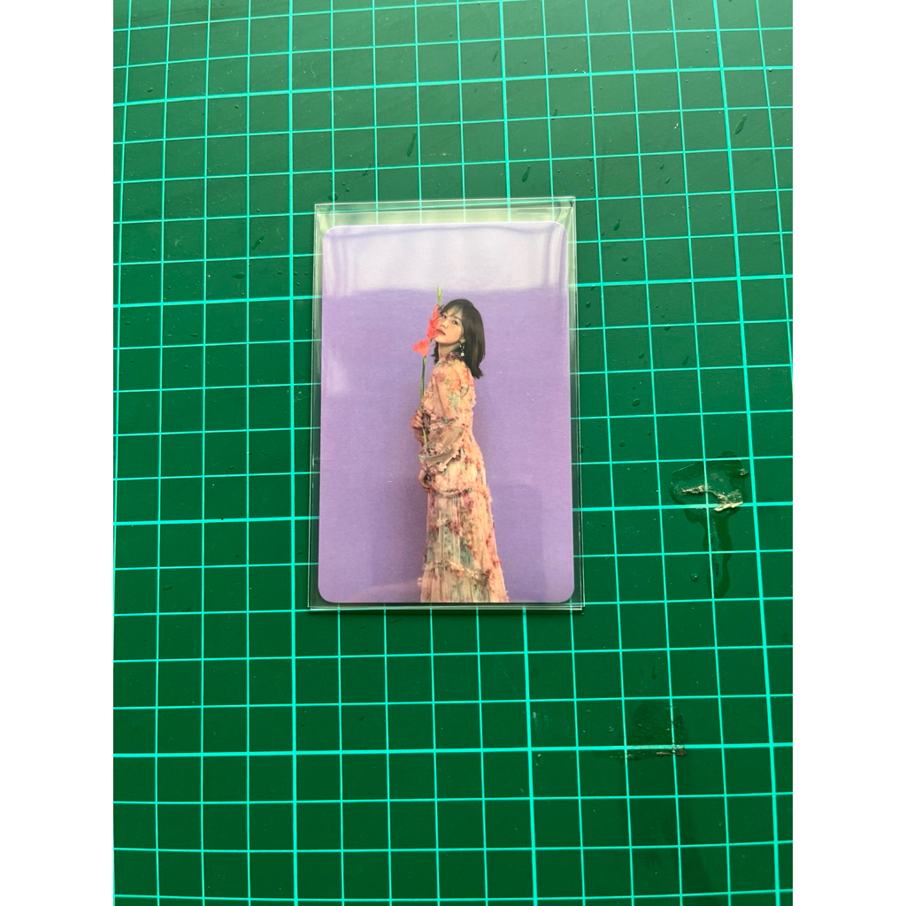 Wendy Dear U Photocard Month December