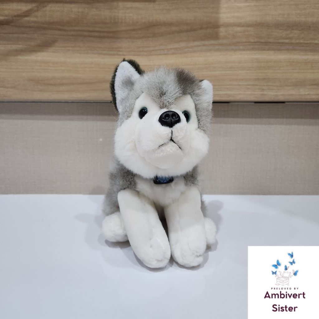 [ BARU ] Boneka Mainan Anak Anjing Husky Ukuran Sedang