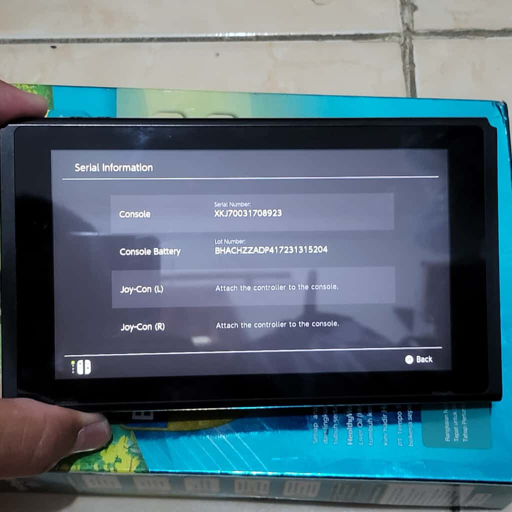 Nintendo Switch V2 CFW TABLET ONLY