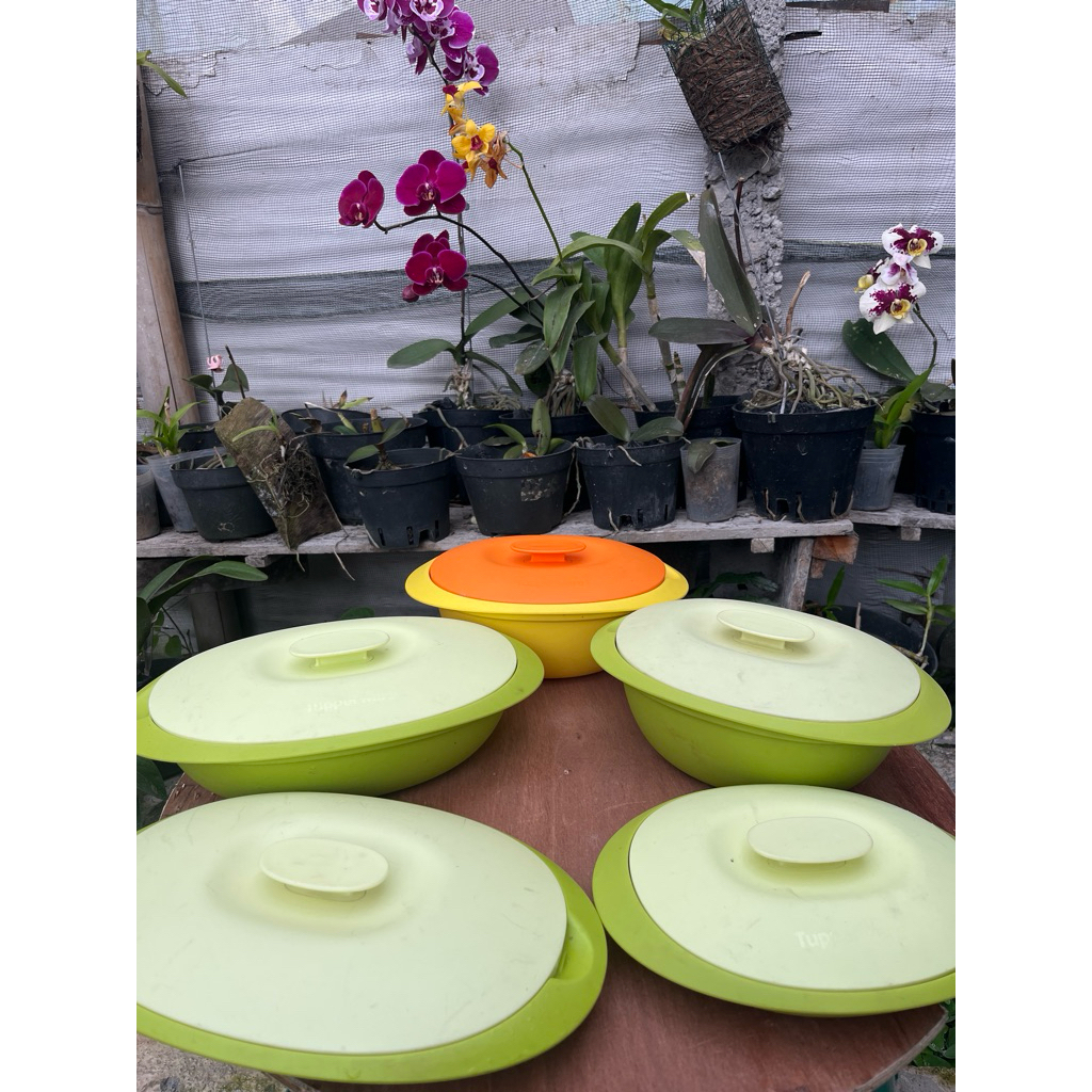 Blossom tupperware preloved/second
