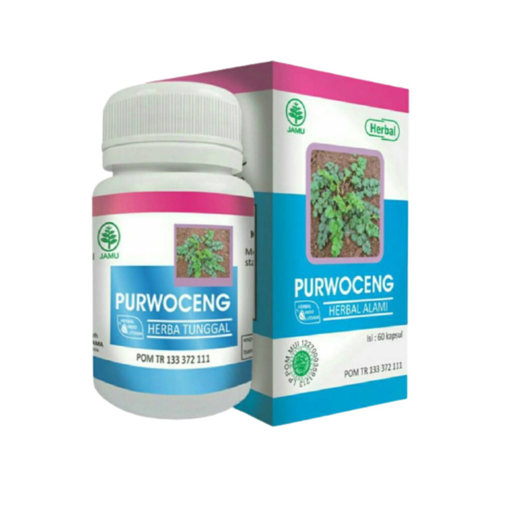 HIU Kapsul Purwoceng Herbal Pria Stamina Gairah