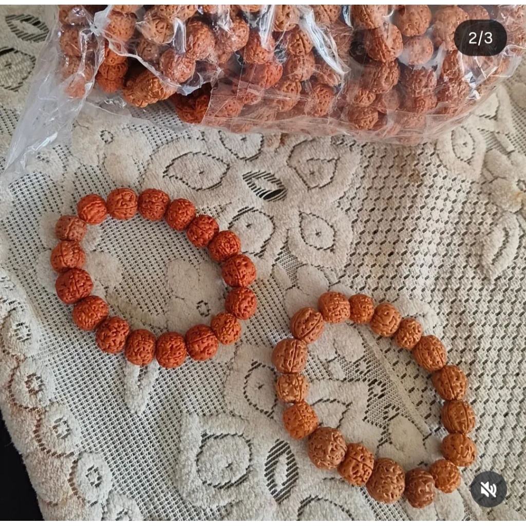 Gelang Rudraksha Polos || Rudraksha Asli
