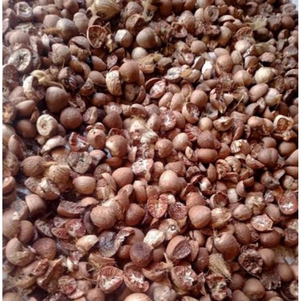 buah pinang kering hasil rajangan 5 kg