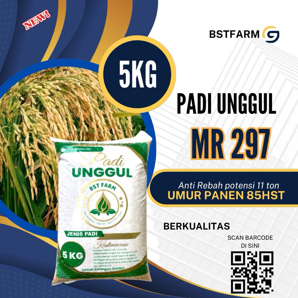 PADI UNGGUL MR 297 KEMASAN 5KG